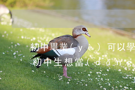 初中畢業(yè)可以學(xué)律師嗎(初中生想當(dāng)律師)