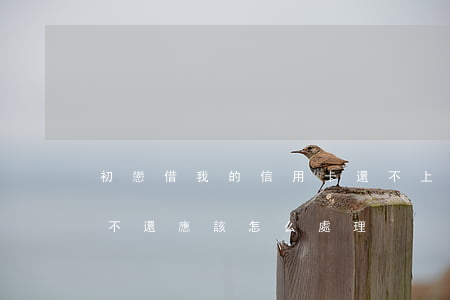 初戀借我的信用卡還不上怎么辦-初戀借錢不還應該怎么處理