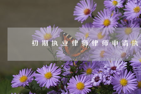 初期执业律师(律师申请执业证)