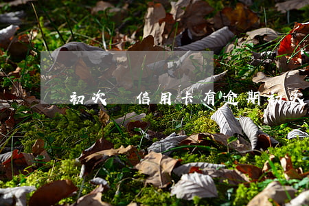 初次辦信用卡有逾期(初次辦信用卡有逾期的嗎)