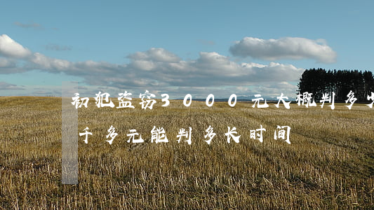 初犯盗窃3000元大概判多少时间(盗窃3千多元 能判多长时间)