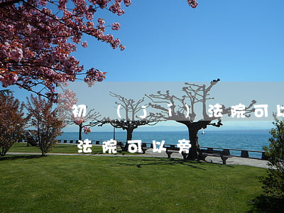 初級(jí)法院可以旁聽嗎(中級(jí)法院可以旁聽嗎)