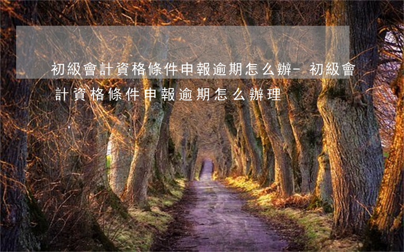 初級會計資格條件申報逾期怎么辦-初級會計資格條件申報逾期怎么辦理