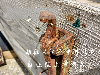 初级法院不审可以直接上诉到中院吗(不服初级法院上诉中级)