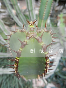 删除逾期申请 申请撤销逾期需要什么手续