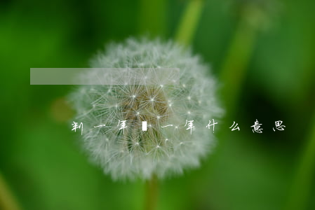 判一年緩一年什么意思