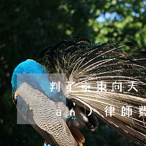 判了！京東向天貓索賠10億+200萬(wàn)律師費(fèi)的“管轄大戰(zhàn)”,最高法這樣判！