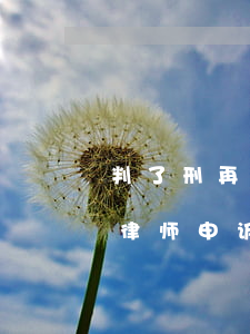 判了刑再请律师申诉可以减刑吗(判了刑再请律师申诉可以减刑吗)