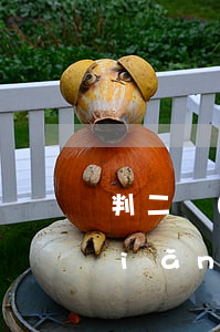 判二環(huán)三的幾年取消無點(diǎn)啊(判二環(huán)三的幾年取消無點(diǎn)啊)