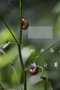 判决后逾期还款利息计算(判决后逾期还款利息计算)