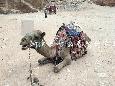 判决是什么意思(终审判决是什么意思)