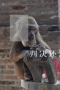 判决还没生效也能强制对方履行义务吗