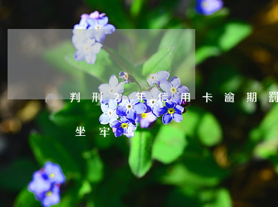 判刑2年信用卡逾期罰息(信用卡逾期二年會坐牢嗎)