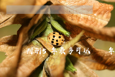 判刑5年最多可以減幾年?