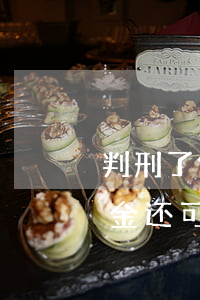 判刑了保释金可以归还吗(被判刑保释后保释金还可以退吗)