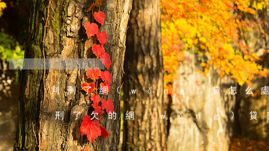 判刑了網(wǎng)貸怎么處理(如果人判刑了,欠的網(wǎng)貸款怎么處理)