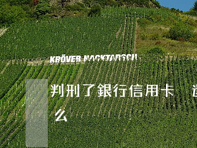 判刑了銀行信用卡沒還（判刑信用卡還不起怎么）