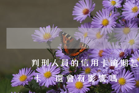 判刑人員的信用卡逾期怎么處理(判了刑信用卡沒還會有影響嗎)