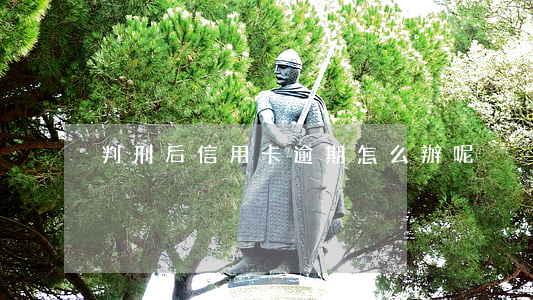判刑后信用卡逾期怎么辦呢