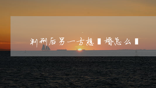 判刑后另一方想離婚怎么辦