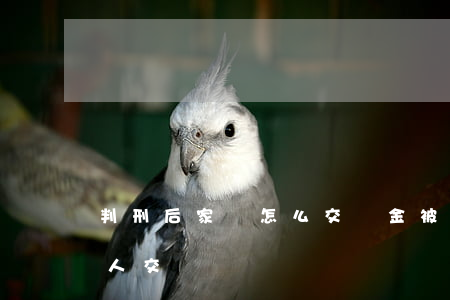 判刑后家屬怎么交罰金(被判刑后的罰金要家人交嗎?)
