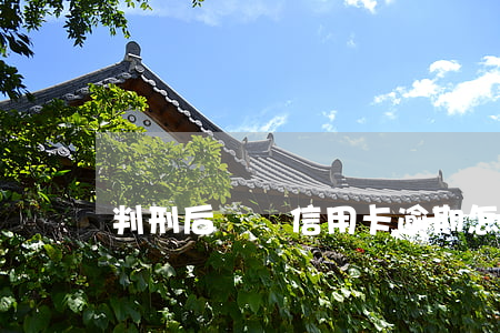 判刑后車貸信用卡逾期怎么處理