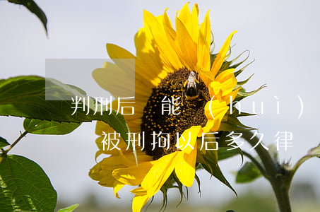 判刑后還能會(huì)見(jiàn)律師(被刑拘以后多久律師可以會(huì)見(jiàn))