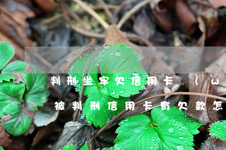判刑坐牢欠信用卡網(wǎng)貸怎么辦(被判刑信用卡有欠款怎么辦)
