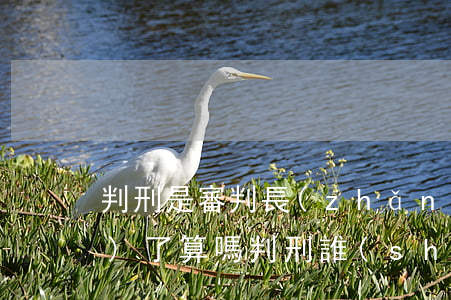 判刑是審判長(zhǎng)說(shuō)了算嗎(判刑誰(shuí)說(shuō)了算法官還是檢查)