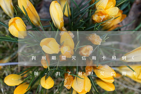 判刑期間欠信用卡和網(wǎng)貸怎么辦-判了刑但欠信用卡怎么辦