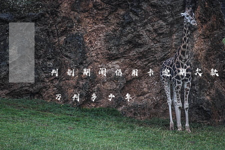 判刑期间信用卡逾期欠款7万(欠信用卡17万判多少年)