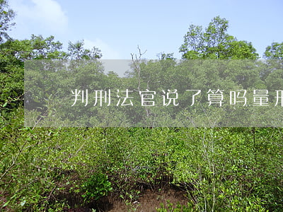 判刑法官说了算吗(量刑是不是法官说了算)
