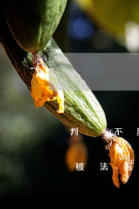 判決不服可以申請法律監(jiān)督嗎(被法院判決不服有什么辦法)