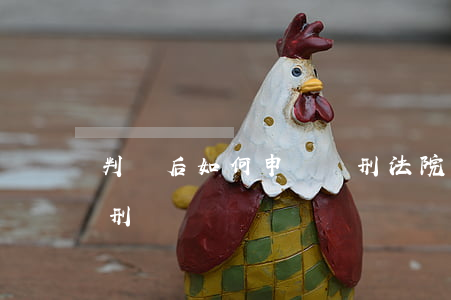 判決后如何申請緩刑(法院判決后還能申請緩刑嗎)