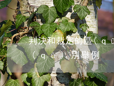判決和裁定的區(qū)別(判決和裁定的區(qū)別舉例)