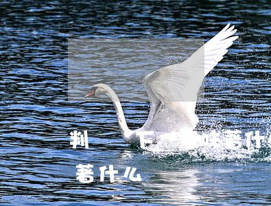 判決書下來意味著什么(到法院拿判決書意味著什么)