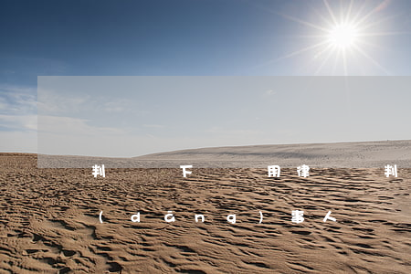 判決書下來還用律師嗎(判決書給律師還是當(dāng)事人)