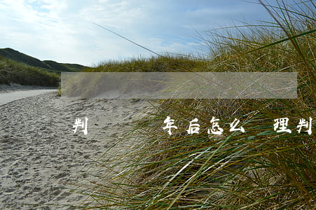 判決書兩年后怎么處理(判決書2年后就作廢)