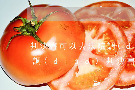 判決書可以去法院調(diào)嗎(去法院調(diào)判決書需要什么手續(xù))