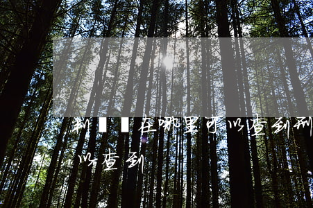 判決書在哪里可以查到(刑事判決書在哪里可以查到)