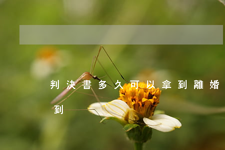 判決書多久可以拿到(離婚判決書多久可以拿到)