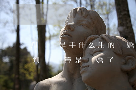 判決書是干什么用的離婚(判決的離婚有沒有判決書?算是離婚了嗎)