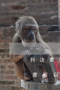 判決書沒下來法院可以收錢嗎(不收法院判決書可以嗎?)