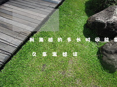 判离婚的多长时间能拿到离婚证啊(离婚要多久拿离婚证)