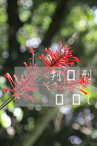 判緩刑之后欠錢被起訴(判緩刑之后欠錢被起訴會(huì)怎么樣)