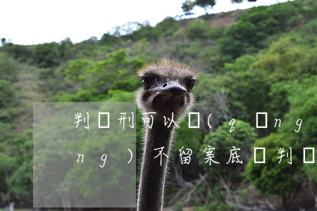 判緩刑可以請(qǐng)律師申請(qǐng)不留案底嗎(判緩刑能考律師資格證嗎)