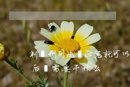 判緩刑司法矯正完就可以了嗎(法院判緩刑之后還需要干什么)