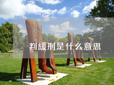 判緩刑是什么意思