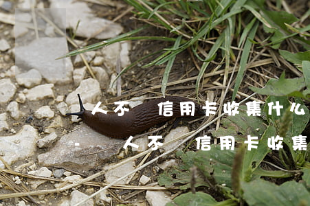 別人不還信用卡收集什么證據(jù)起訴-別人不還信用卡收集什么證據(jù)起訴他