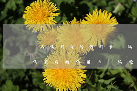 別人使用我的信用卡導致逾期怎么辦-別人使用我的信用卡導致逾期怎么辦呢